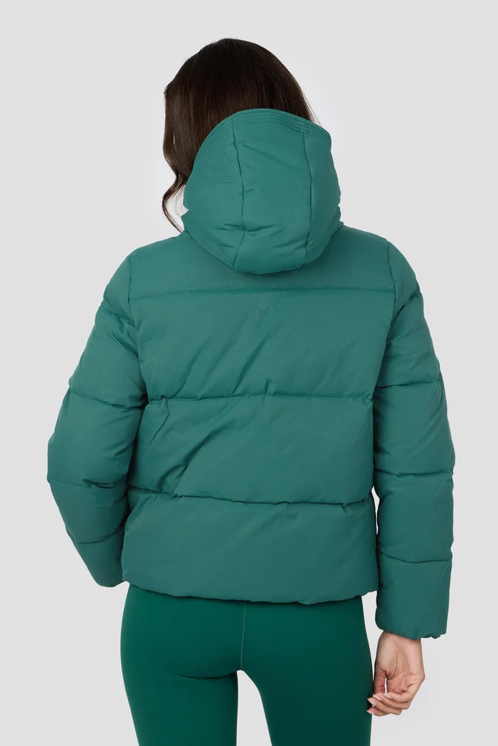 Jacket 4